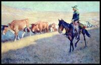 Trailing Texas Cattle