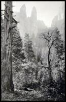 In the Heart of the Sierras: The Yo Semite Valley, both Historical and Descriptive and Scenes by the Way. Big Tree Groves. The High Sierra with its Magnificent Scenery, Ancient and Modern Glaciers, and other Objects of Interest; with Tables of Distances a