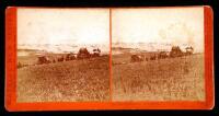 Lot of 25 stereoview cards from Watkins' New Series of Pacific Coast Views