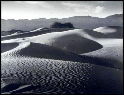 California Sand Dunes [I]