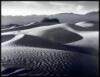 California Sand Dunes [I]