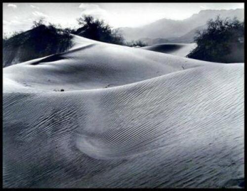 California Sand Dunes [II]