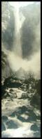 Lot of two original tall photographs of Yosemite