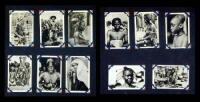 Photograph Album of Africa
