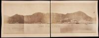 Albumen panoramic photograph of Hong Kong