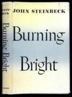 Burning Bright: A Play in Story Form