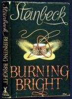 Burning Bright