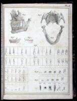 Atlas du manuel d'anatomie descriptive du corps humain