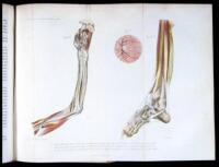 De L'&Eacute;ctristion localis&eacute;e et de son application a la Pathologie et a la th&eacute;rapeutique