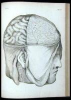 Trait&eacute; de l'anatomie du cerveau
