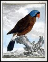 Lot of 20 hand-colored copper-engraved plates of birds, 19 of them after Jacques-Eustache De S&egrave;ve