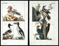 Lot of approx. 95 copper or steel-engraved plates of birds, most hand-colored
