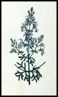 Lot of approx. 82 hand-colored copper-engraved plates of plants, flowers, and other botanical subjects