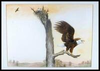 Original watercolor and pencil sketch for Edith Thacher Hurd's Look for a Bird