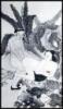 Erotic Aspects of Chinese Culture - 2