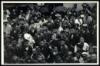 Japan Photograph Album - 3