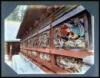 Japanese Photo Album, Hand-Colored - 3