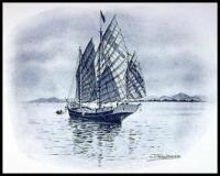 The Chinese Junk