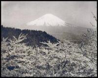 [Fugaku Hya-Kei]: One Hundred Views of Fujiyama