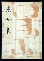 [Ominae Shi: Patrina, A Girl's Drawings]
