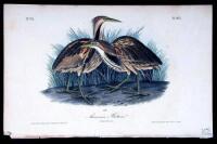 Lot of 40 hand-colored lithographed plates from the octavo edition of The Birds of America