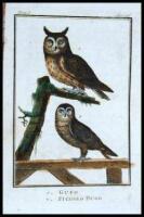Il Buffon per l'Adolescenza Ossia. Compendio dell'interna storia dei tre regni della natura... De Volatili
