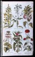 Eden: or, a Compleat Body of Gardening