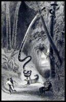 Caunter's and Daniell's Oriental Annual, 1839. Eastern Legends, by the Rev. Hobart Caunter, B.D. With Twenty-Two Engravings, from Drawings by the Late William Daniell, R.A.