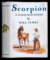 Scorpion: A Good Bad Horse