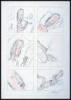 Six Drawings After Cocteau (Page in a Sotheby's Catalogue)