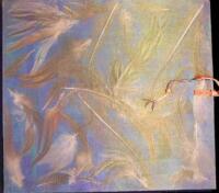 Memory of a Rooster