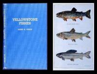 Yellowstone Fishes