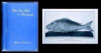 The Sea Fish of Trinidad