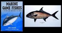 Marine Game Fishes of the Pacific Coast from Alaska to the Equator