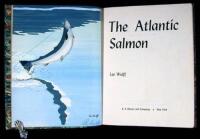 The Atlantic Salmon