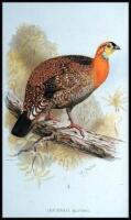 The Game Birds of India, Burmah, and Ceylon