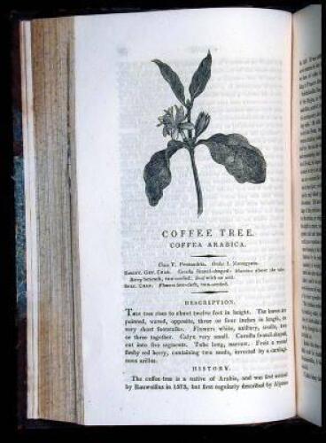 A New Family Herbal: or Popular Account of the Natures and Properties of the Various Plants used in Medicine, Diet, and the Arts