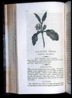 A New Family Herbal: or Popular Account of the Natures and Properties of the Various Plants used in Medicine, Diet, and the Arts