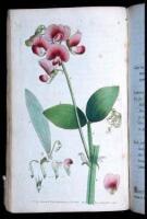 Flora Rustica: Exhibiting Accurate Figures of Such Plants as are Either Useful or Injurious in Husbandry. Drawn and Engraved by Frederick P. Nodder, Botanic Painter to Her Majesty, and Coloured Under His Inspection. With Scientific Characters, Popular Des