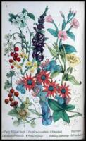 Rambles in Search of Wild Flowers and How to Distinguish Them