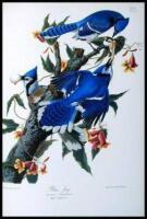 Fine Bird Books, 1700-1900