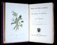 Weeds and Wild Flowers: Their Uses, Legends, and Literature