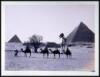 Egypt: 1887 (cover title)