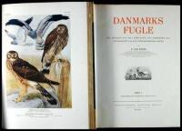 Danmarks Fugle med Henblik paa de i Gr&oslash;nland, paa F&aelig;r&oslash;erne og i Kongeriget Island Forekommende Arter
