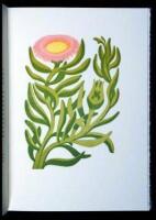 Selected Shore Plants of Southern California