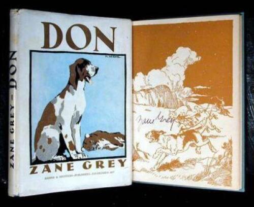 Don: The Story of a Lion Dog