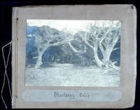 Album containing 48 silver photoraphs of Monterey and vicinity