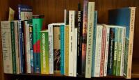 Shelf lot of mostly American travel guides