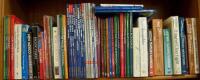 Shelf lot of travel guides