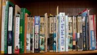 Shelf of modern travel guides